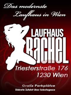 Kontaktanzeige Laufhaus Rachel & Lounge Bar | sexführer
