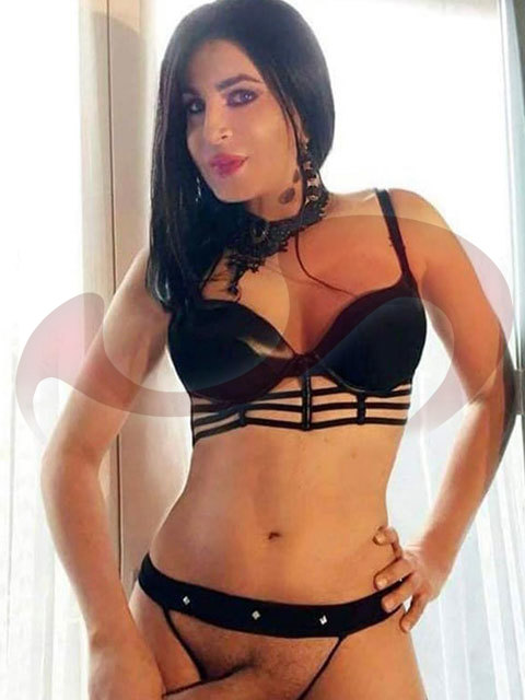 Kontaktanzeige TS Miranda | Transsexuelle | Shemales