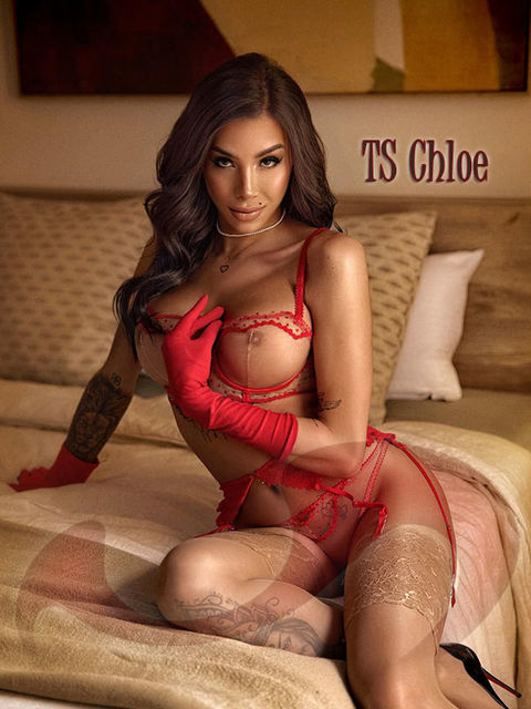 Kontaktanzeige TS Chloe | Transsexuelle | Shemales